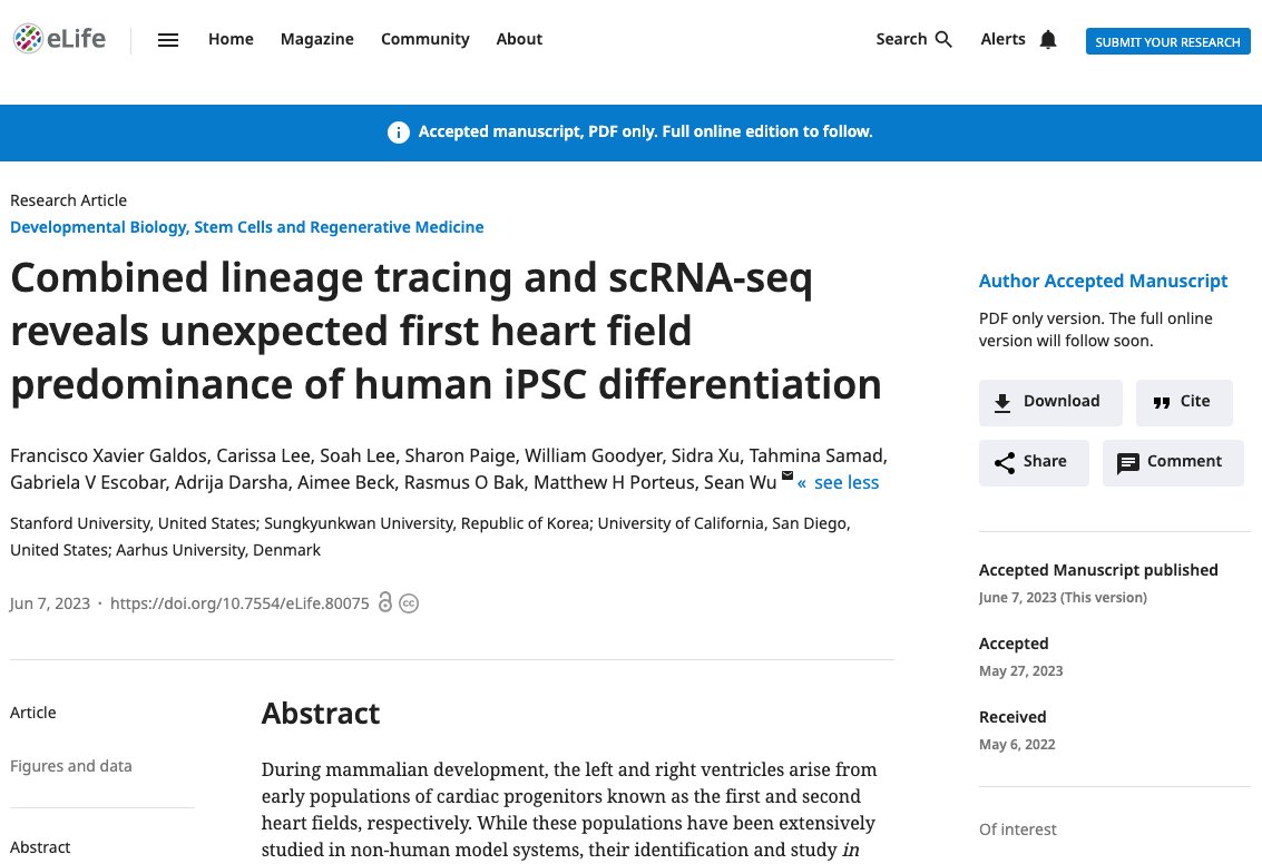 Congrats 2 Francisco @fxgaldos on his newly accepted manuscript @eLife on FHF lineage tracing in human iPSCs & the generation of hiPSC-derived left ventricular CMs. 🙏to contributions by many co-authors @SoahLeePhD @Will_Goodyer @Tahmina_Sam2 & others. doi.org/10.7554/eLife.…