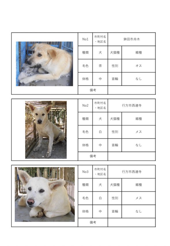 茨城県動物指導センターで保護している、迷子の犬猫の公表情報です。🐕🐈
お心当たりの飼い主様は動物指導センターにお電話ください‼️
動物指導センター
☎︎0296-72-1200(受付時間：平日8:30〜17:15)

6月7日(水) 公表情報