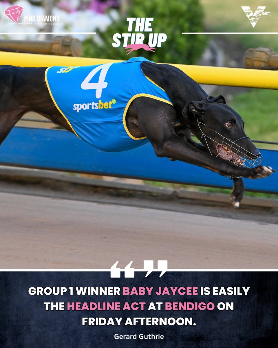 WatchDogRacing's tweet photo. Oh ‘Baby’, she looks good 👀
Recent Group 1 winner BABY JAYCEE appears too strong for her rivals in the #PinkDiamond Rookie Sprinter heat at Bendigo on Friday afternoon.
@gedguthrie discusses other #PinkDiamond heats in #TheStirUp.
📰 https://t.co/beAyhVSsu1
#GreyhoundRacing https://t.co/VjfV6jG1BW