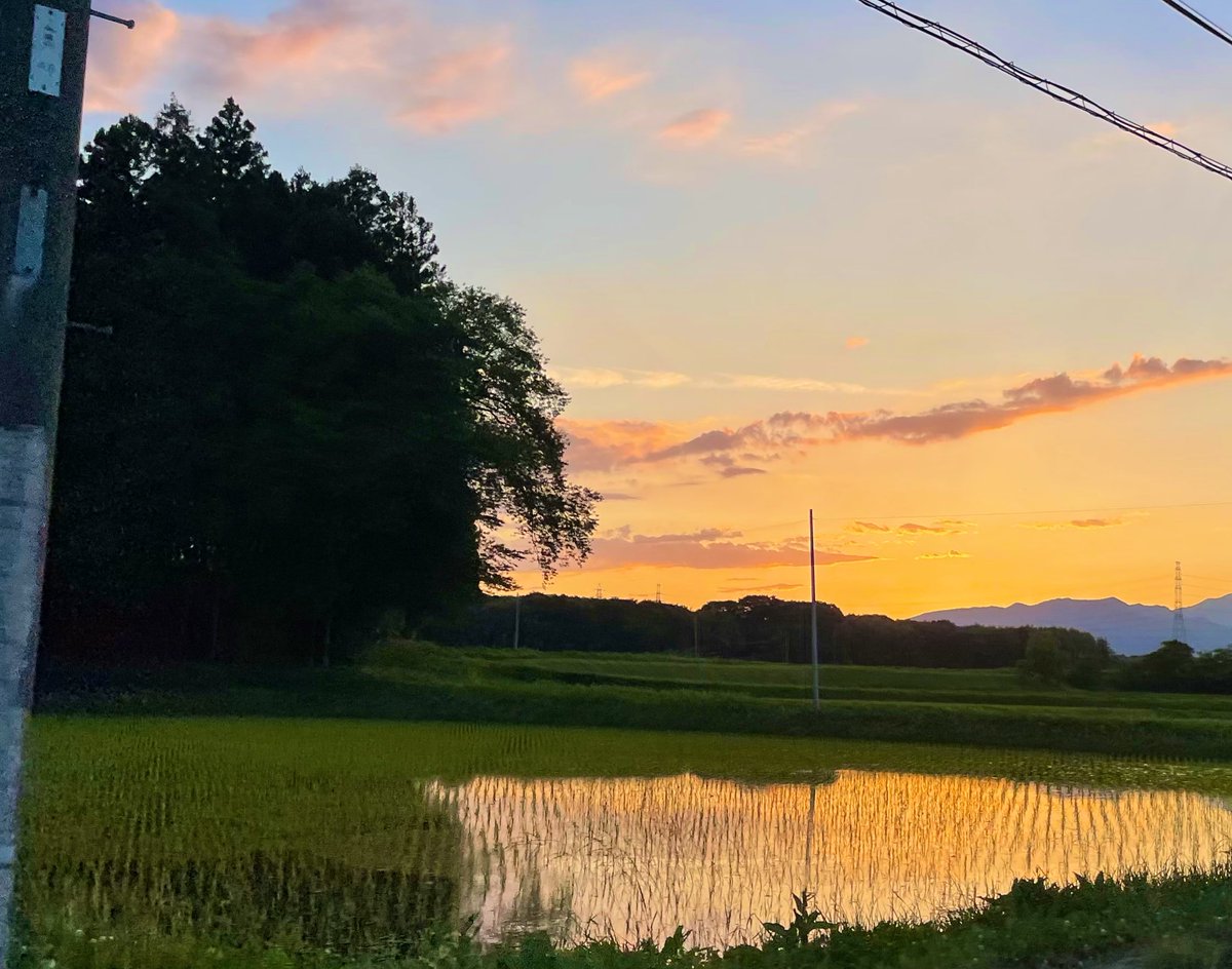カエル🐸🐸🐸の合唱きくと
「あー日本帰って来た！」
って感じる🥺✨

今度は7月に帰って、
お爺ちゃん家の田んぼの蛍が見たいなぁ🥺 https://t.co/3fQ9bZ6sVA