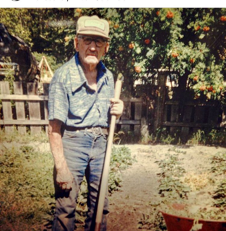 This was my Grandfather. Took this pic in the late 80s when I still a teenager.
This was what he loved doing, working in the garden, tending to the chickens. He raised 12 children, and has a city street in Revelstoke, BC named after him. 
What a legend.