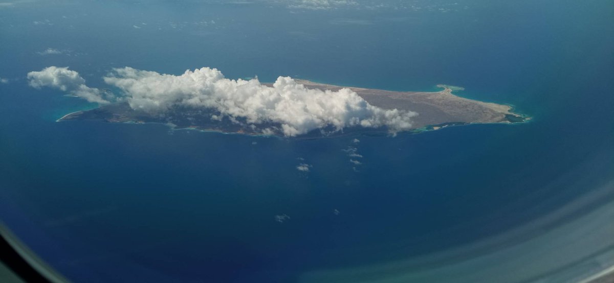 Don Juan, Señor del Cacao. tweet media