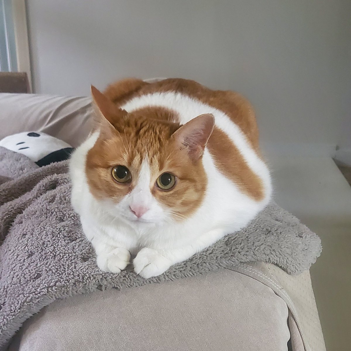 today_hellcat's tweet photo. https://t.co/OqJtxE2nDW