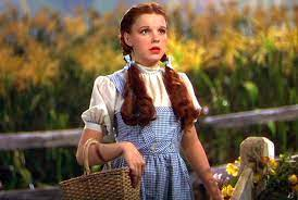 @robertm54308567 Here it is! I got this! Dorothy Gale from the Wizard of Oz! It will be great.