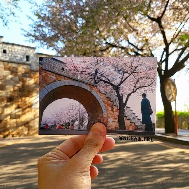 🌸드라마 덕후라면 추천하는 나들이 투어!🌸 ✨✨수원 드라마 투어✨✨를 오픈했습니다! 🎥'이상한 변호사 우영우', '스물다섯 스물하나', '그해 우리는' 등의 많은 촬영지가 수원에서 촬영되었던 것 아시나요? 예쁘고 유명한 촬영지들과, 아기자기한 행궁동에서의 맛집까지! 날씨 좋은 날,🍃…