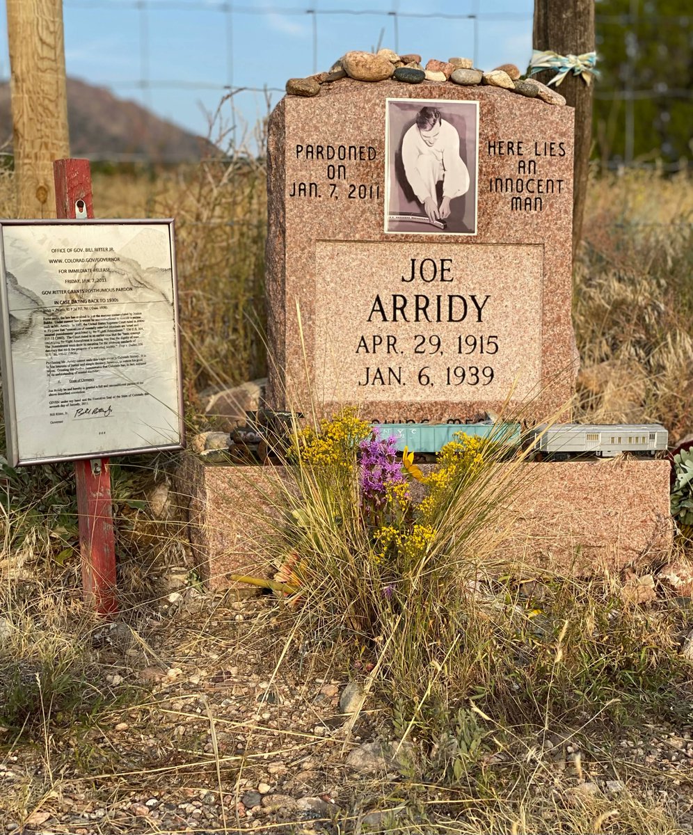 VieneTeoria tweet media