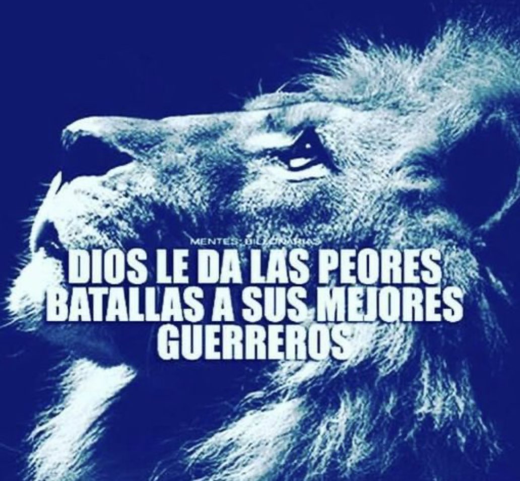 rocioavondet's tweet photo. tengo que rendir finales como si no estuviera pasando el peor momento de mi vida pero bueno vieron que https://t.co/M7D17IsxHA