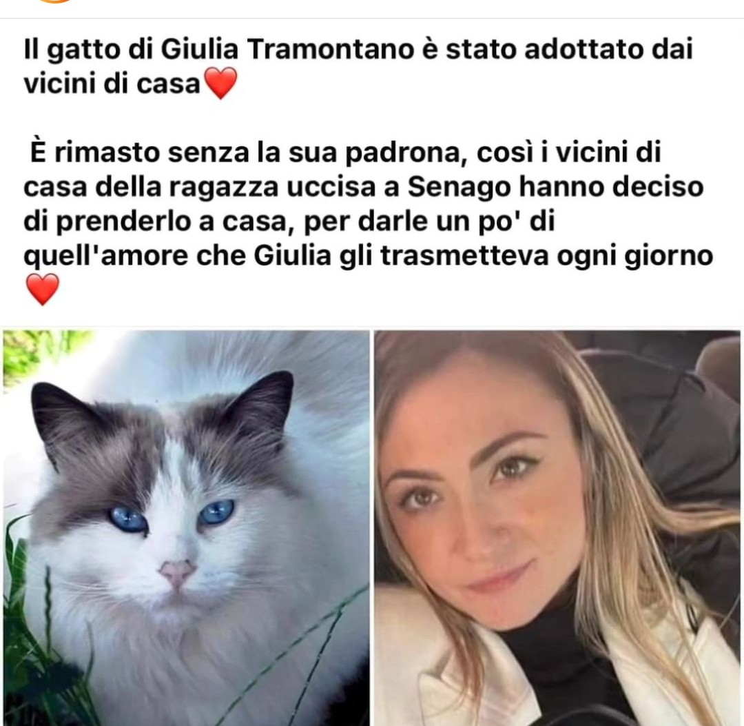 BUONANOTTE ✨🌜🌟😴