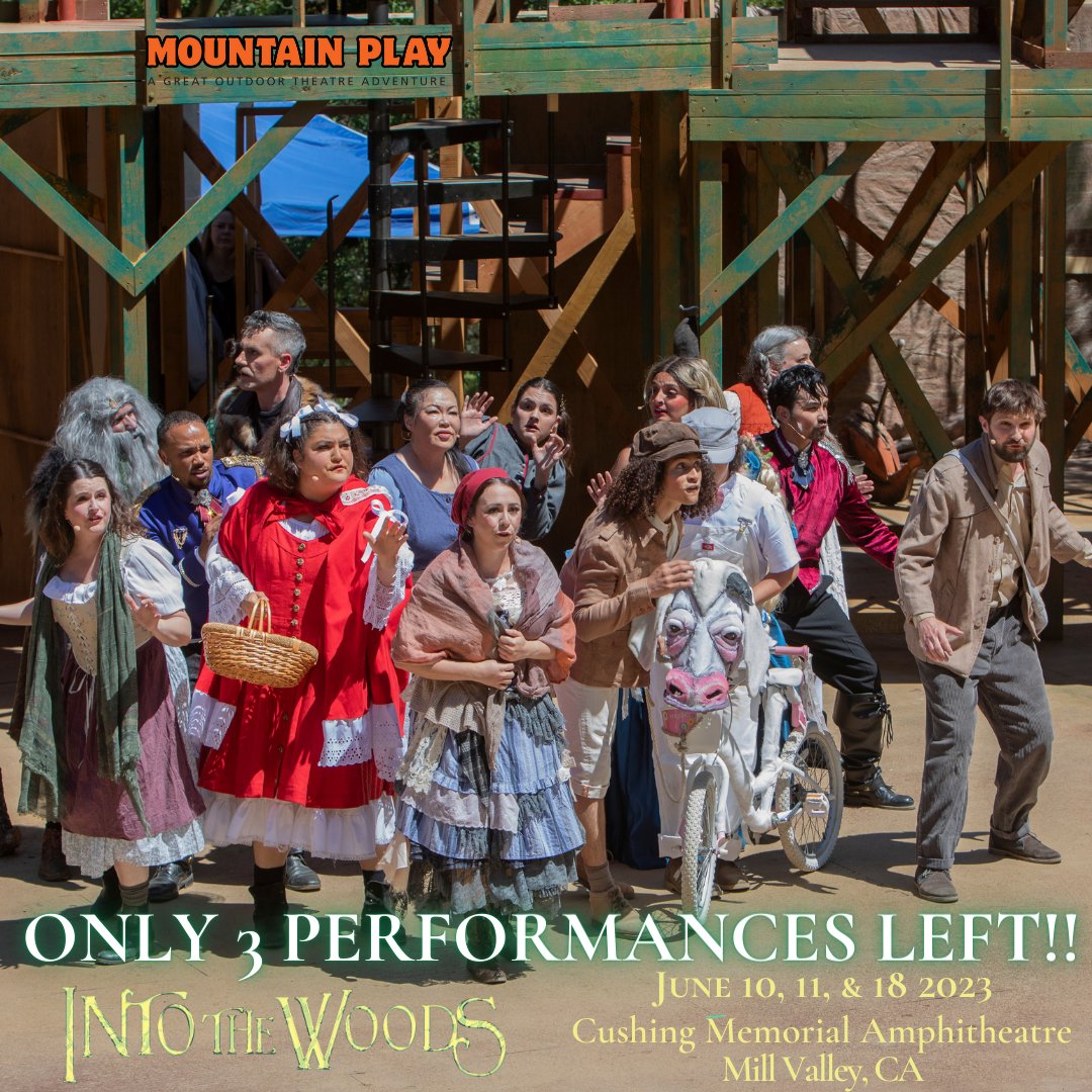Come see the show everyone in Marin is talking about!
Our Cast, full of Bay area Stars, is sure to impress! 
Get General Admission tickets at Mountainplay.org or call 415-383-1100 for reserved seating!