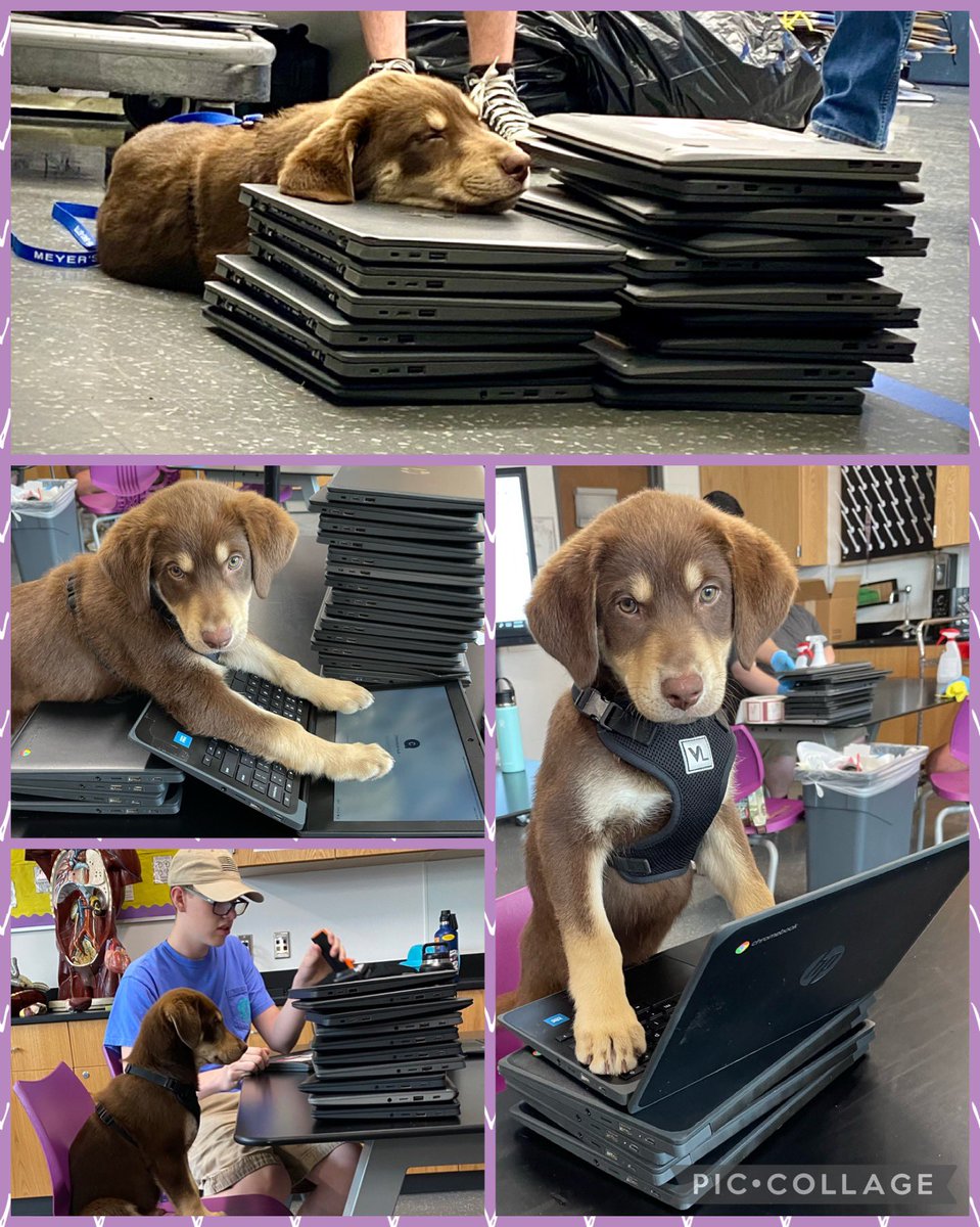 MsMarcumBGISD's tweet photo. Over 200 BGJHS devices repairedπ©π½βπ§ & all freshman devices checked! πͺπ» To be fair, we had an extra set of handsβ¦ errr paws πΎ helping! This Summer Crew is dog-tired! πΆ #bghs #bgjhs #kydlc #TechCrossFit #mascot https://t.co/WeGZcQbrdS