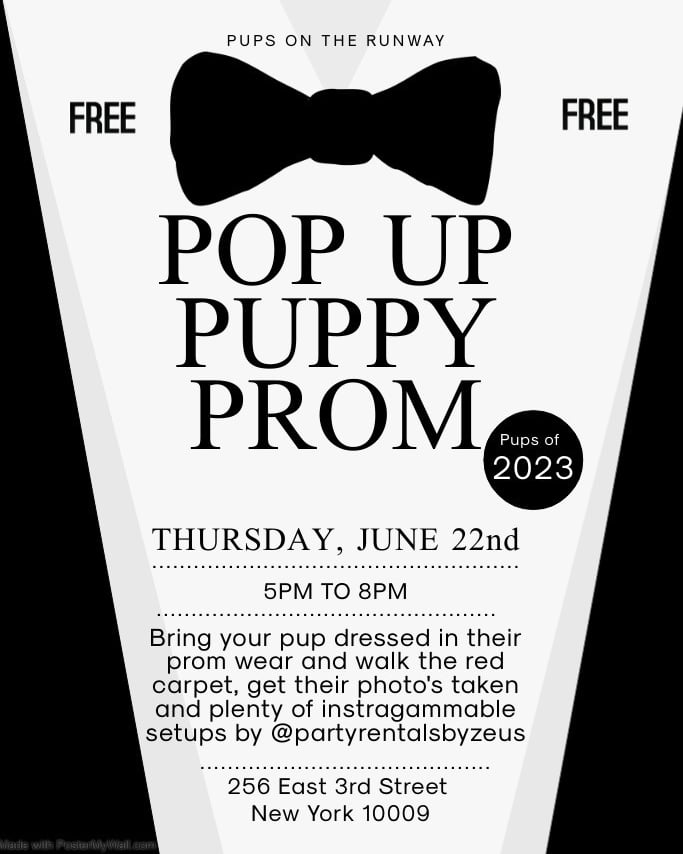 pupsrunway's tweet photo. @PEOPLEPets @blackpeoplepets https://t.co/HDGq9sYd8C