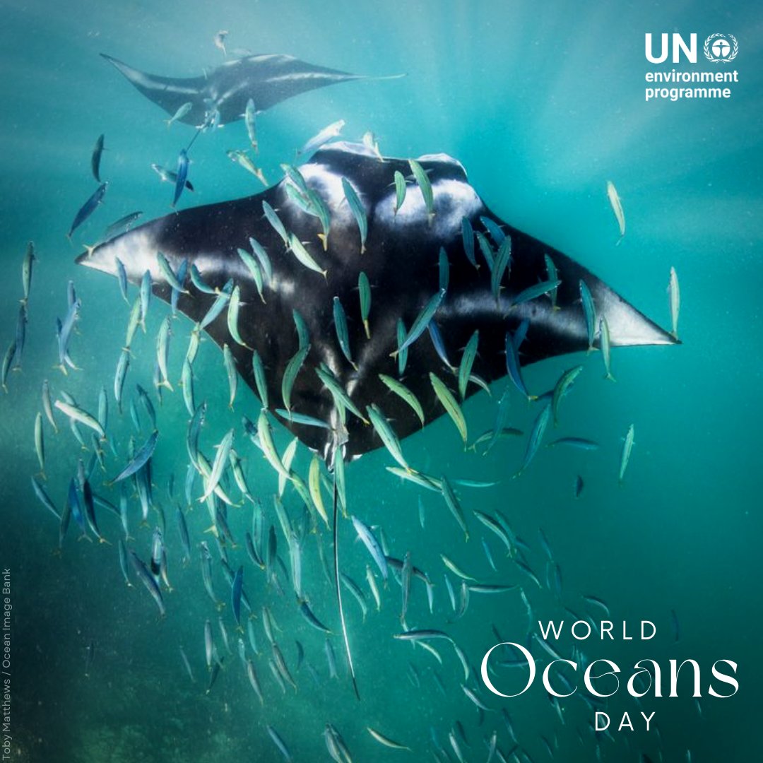 Happy #WorldOceansDay!

Our ocean connects, sustains & supports all life on Earth.

Yet, the triple planetary crisis puts it under serious threat.

It’s time to restore our relationship with the ocean to one with respect and of balance.

unworldoceansday.org