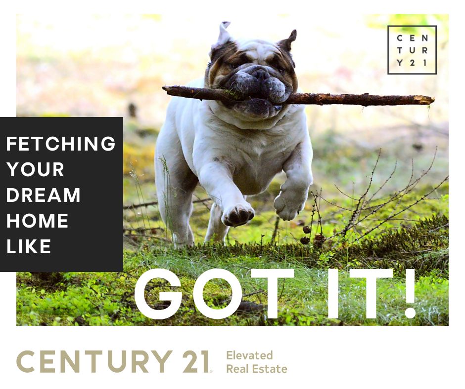 C21ElevatedFoco's tweet photo. Century 21 Elevated Agents go #aboveandbeyond. Not sure whether it's time to buy or rent? Let's break it down together. Call us to get started today! 970-224.1800

#C21 #C21ElevatedFoco #NorthernColoradoRealEstate #LoveWhereYouLive https://t.co/p4jLcoRV9U