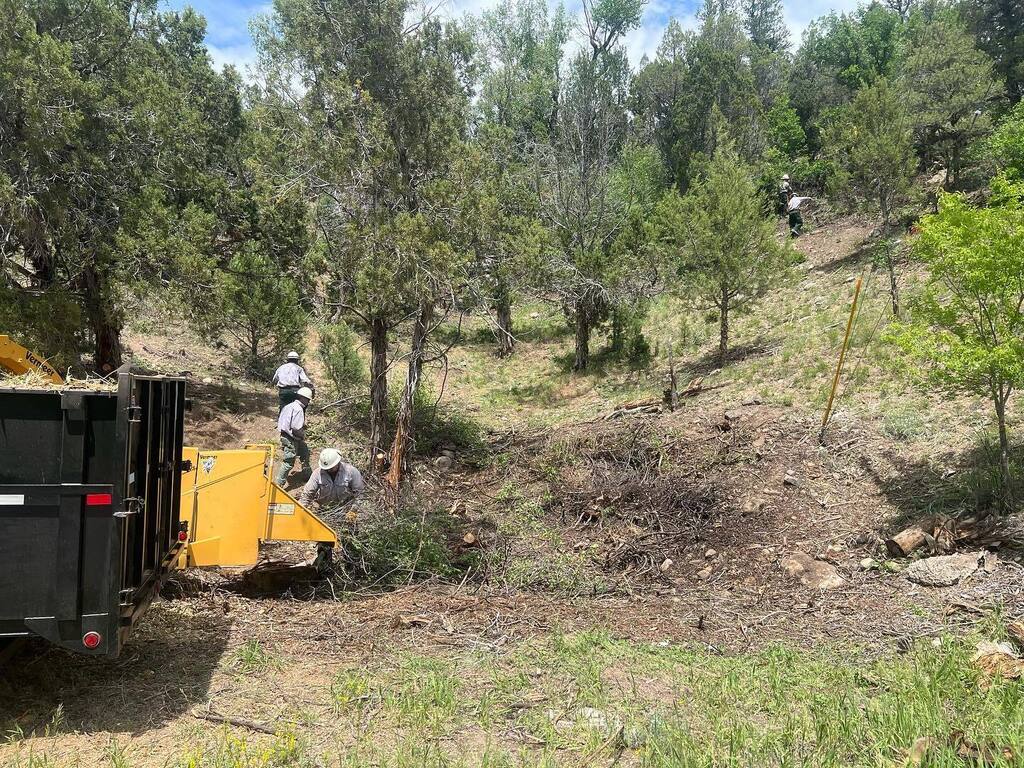 Colorado River Fire Rescue tweet media