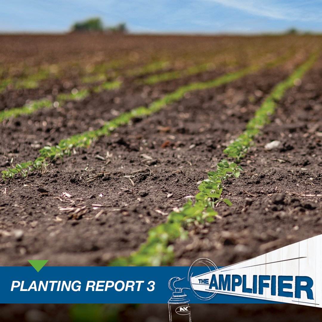 We’re checking in with Iowa Agronomist, Dave Hallberg, and while it was a cold start to the season, he is optimistic with for the season ahead with “heavy-hitter” products. Read Planting Report #3 on the Amplifier: syngenta-us.com/seeds/nk/blog/…