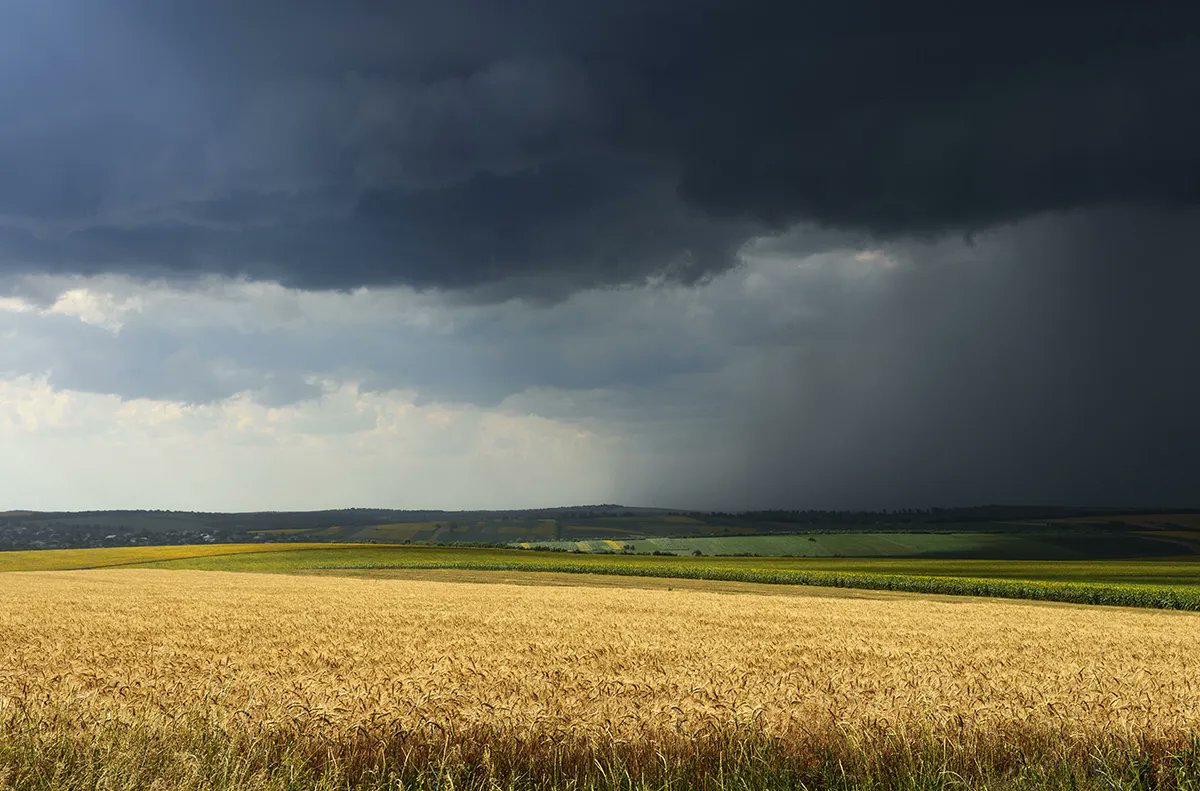 MANAGE PEST PRESSURE. Spring rains and snowmelt can increase slug and snail pressure in fields threatening damage to crops. Don’t let this happen to you. Get Sluggo®, Ferroxx® or Ferroxx®AQ Slug and Snail Baits for strong control. See buff.ly/3qqqY9X for more.