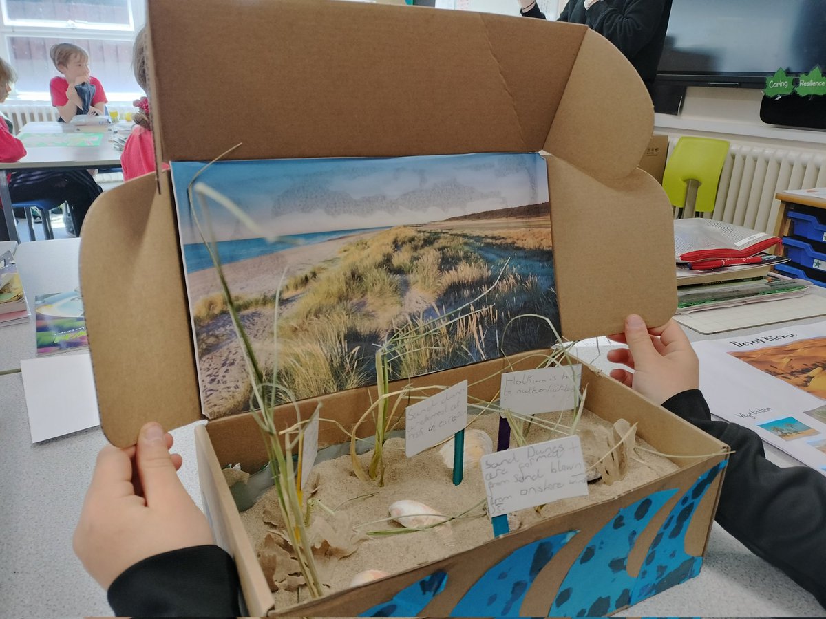 C3 children have outdone themselves with their biomes homework over half term. Amazing motivation on display to become experts in their field. Applying their geographical knowledge and creating different ways to share their work! #primarygeography