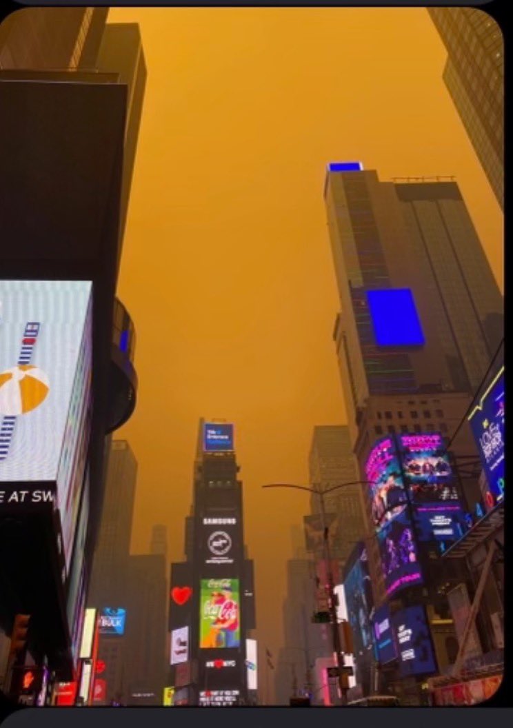 Blade Runner 2049 in NYC right now (photo credit: David Gold)