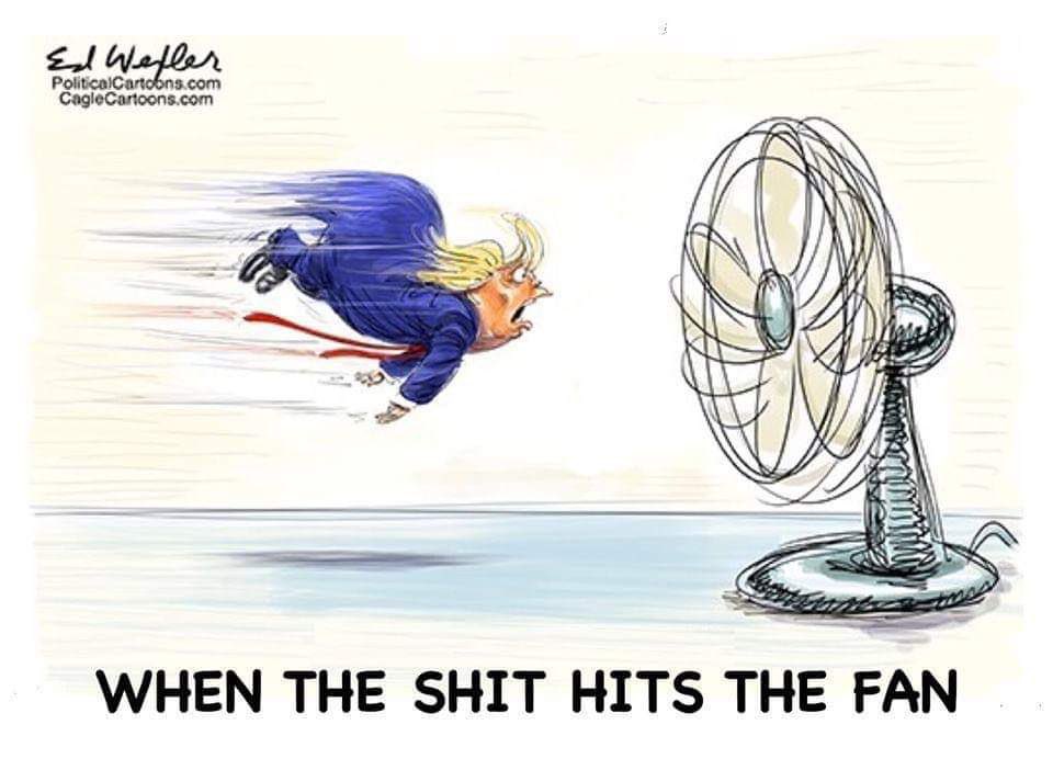 THEE Steel City Cat Lady 🌻 on Twitter "Could it really FINALLY be