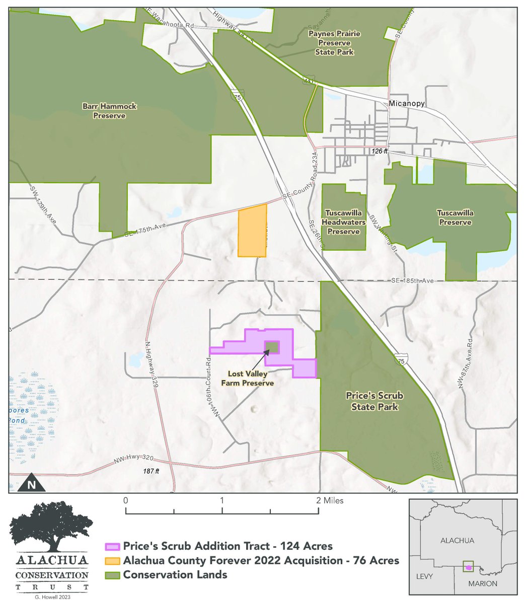 Local State Park Expands with ACT’s Efforts: alachuaconservationtrust.org/green-carr-acq…

#KeepFLWild #conservation #wildlife #FloridaForever #PricesScrub #MarionCounty #Florida #WildlifeCorridor