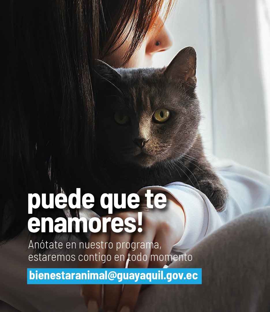 RescateAnimalEC's tweet photo. Apoyamos la campaña de búsqueda de Hogares Temporales para que Bienestar Animal de @alcaldiagye pueda encontrar casas para estos animales. Hay decenas! Sé hogar temporal #ElÚnicoPeligroEsEnamorarse , puede que hasta adoptes! @aquilesalvarez Buen trabajo! https://t.co/JPaUg472ha