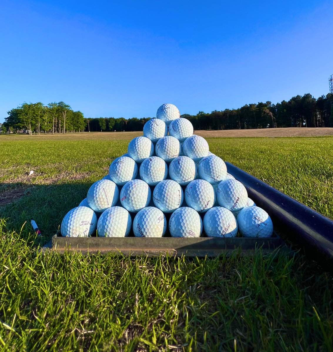 Peter Finch tweet media