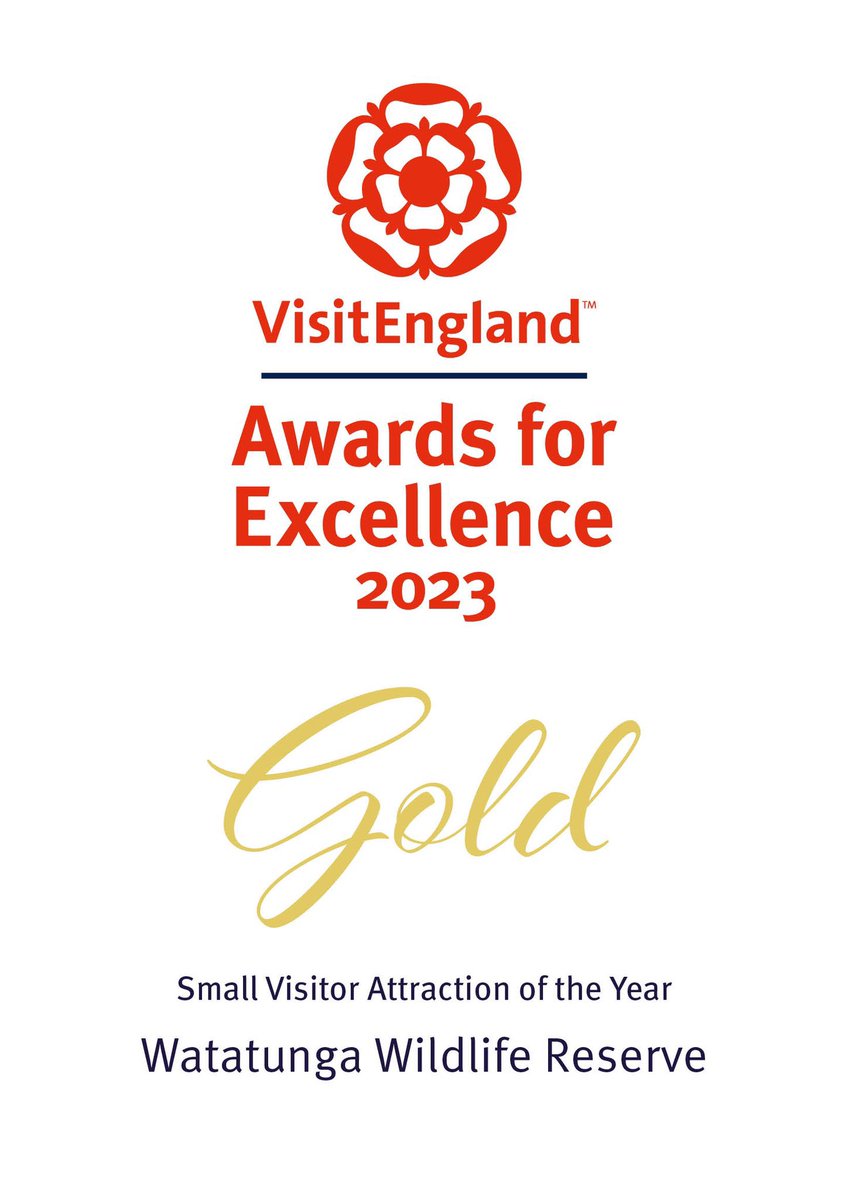 MAGICAL! - Ed and Anna from Watatunga Wildlife Reserve board the Hogwarts Express this evening to receive the award for Best Small Visitor Attraction in ENGLAND at the @VisitEnglandBiz #VEAwards2023

@chrismojo @TheLynnNews @alantaylorylp @BBCNorfolk @itvanglia @YourLocalPaper