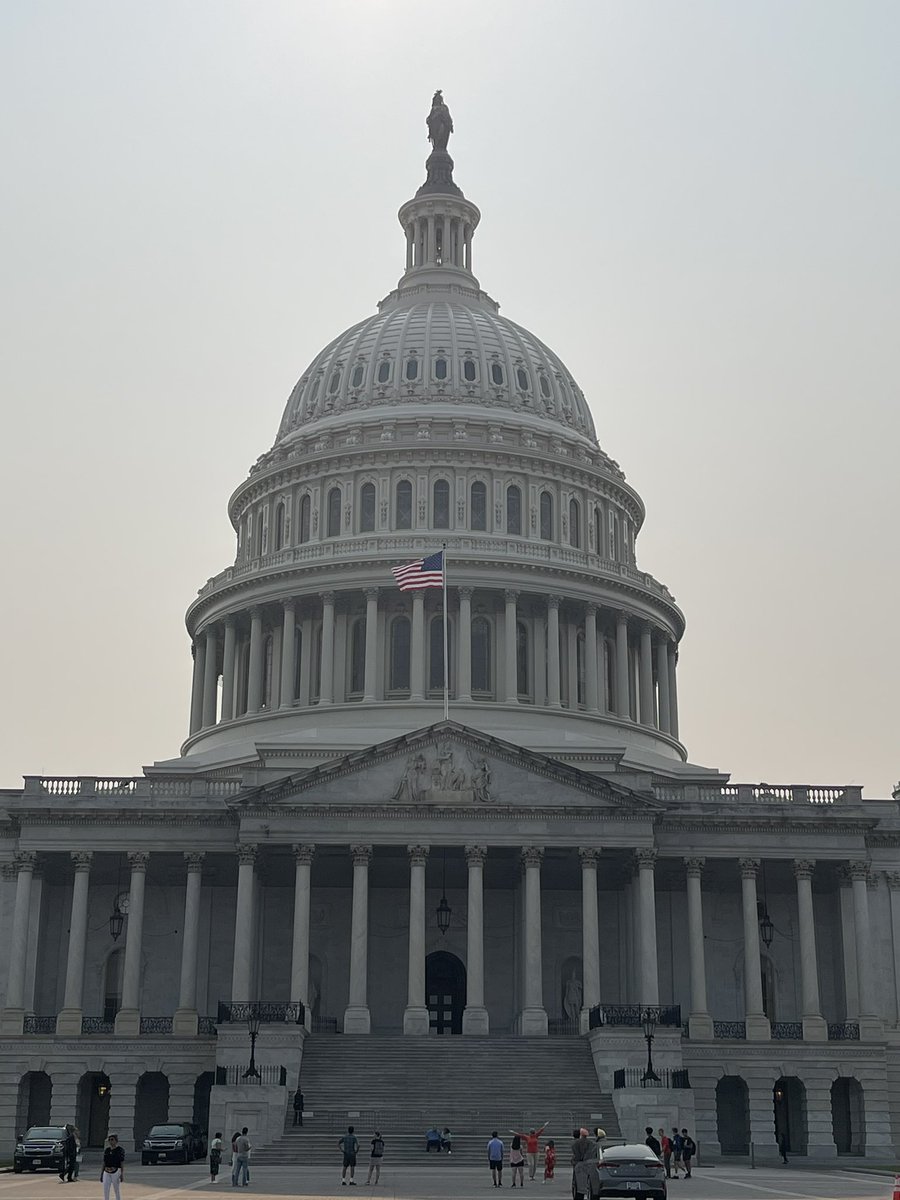 JJP Social Studies tweet media