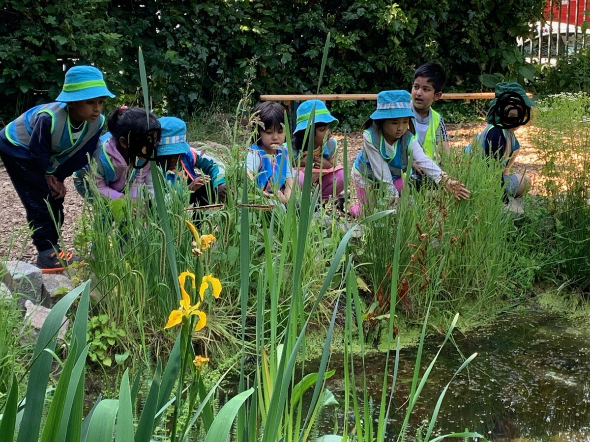 We spent some time looking for animals in the pond.