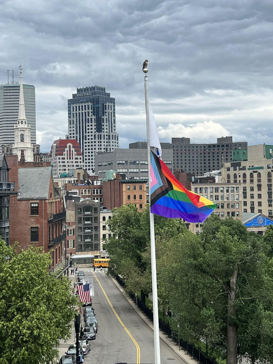 Spotted: a hawk endorses the progress pride flag at the state house.
