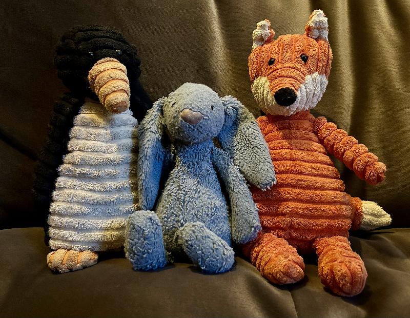 Found: Found a blue Jellycat bunny... | Gordon Street, Glasgow, Sco... | posts.whiteboomerang.com/lostteddy/msg/… #LostTeddy