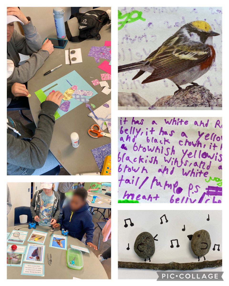 Swan Lake Outdoor Ed (@swanlakeoe) on Twitter photo An indoor day at an outdoor ed centre? Thank-you to our amazing gr4 <a href="/AshtonMeadowsPS/">Ashton Meadows P.S.</a> we had a terrific day learning about bird identification, songs & calls, adaptations and migration! An indoor day at an outdoor ed centre? Thank-you to our amazing gr4 <a href="/AshtonMeadowsPS/">Ashton Meadows P.S.</a> we had a terrific day learning about bird identification, songs & calls, adaptations and migration!