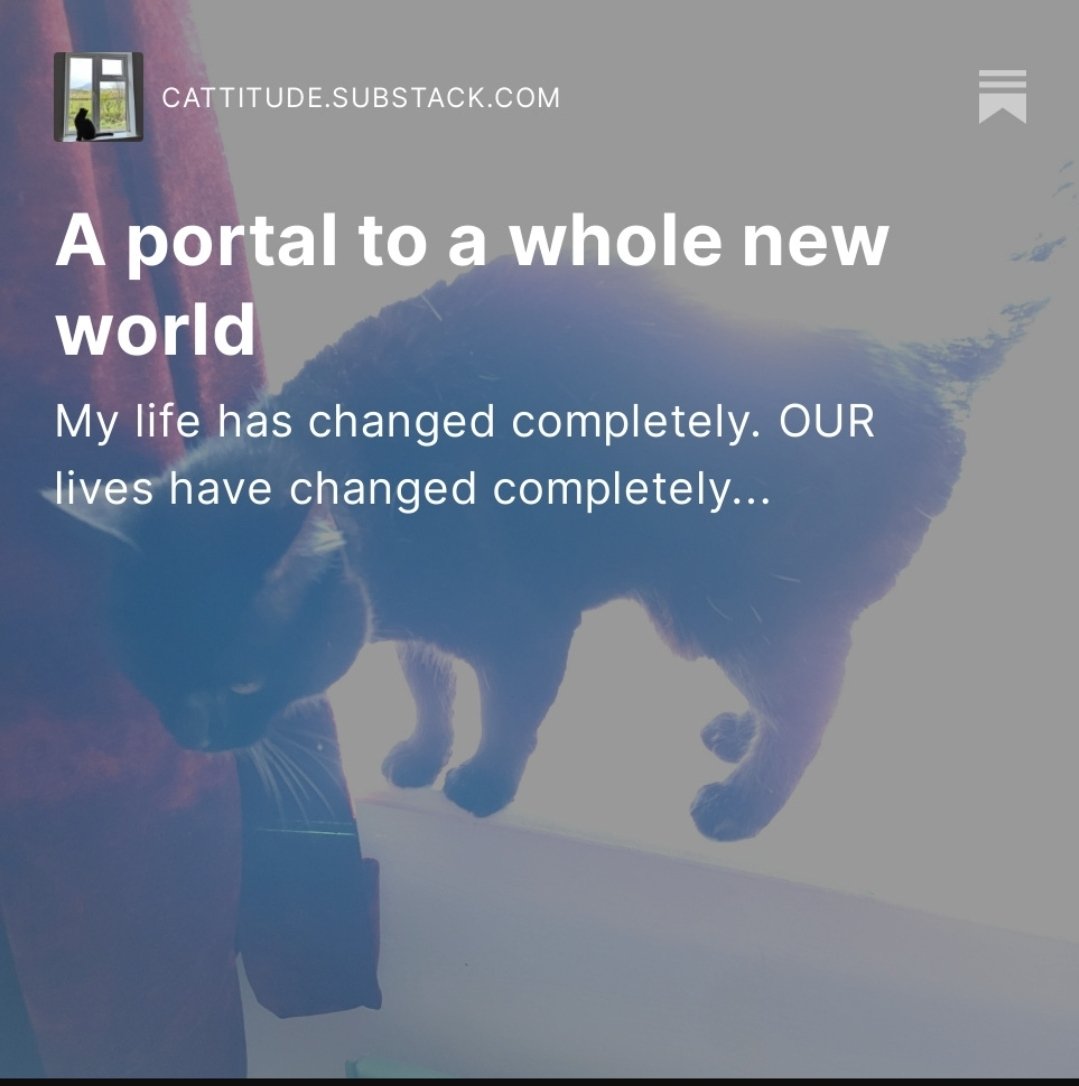 Today's meowsage from the MagnifiCat is about how our worlds have changed completely today...

Read more at 
cattitude.substack.com/p/a-portal-to-…

#BeMoreCat
#RainbowMagnifiCat 
#Cattitude 
#FelineBetterEveryDay #Mewsings