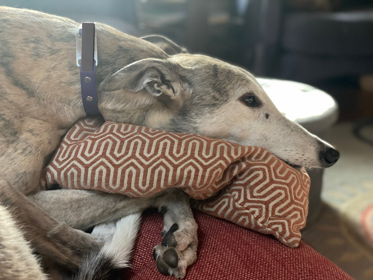 River River Books 🌊🌊 tweet media