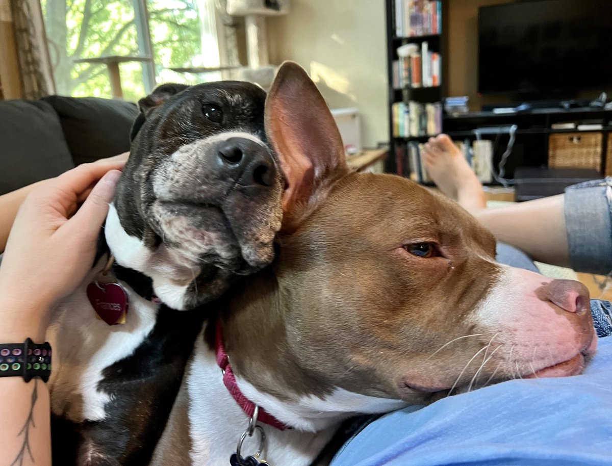 River River Books 🌊🌊 tweet media