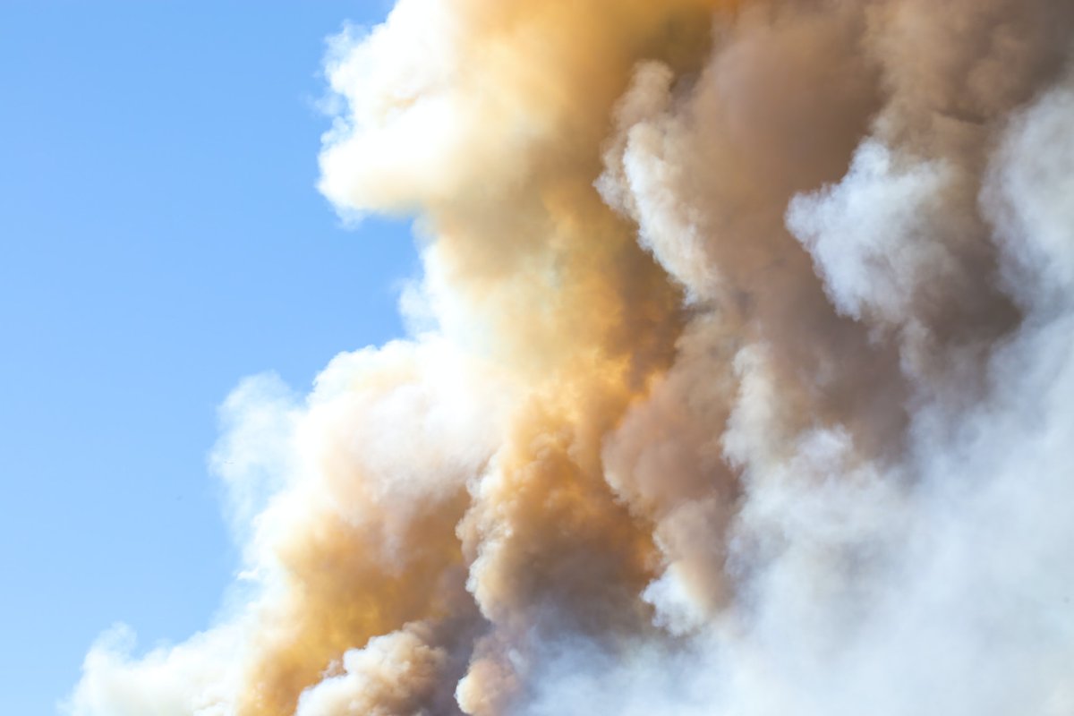 With wildfire smoke emergencies in other parts of the country, NOW's the time to prepare for smoke in the PNW. Here's some tips: bit.ly/WADOH-Smoke