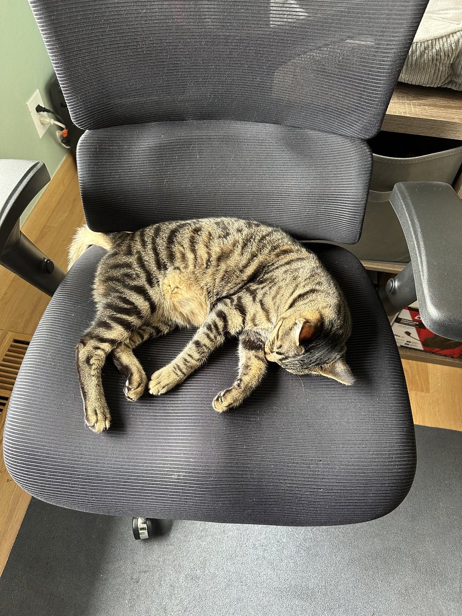 I’ve never used my standing desk so much.