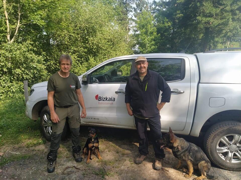 NaturaeOdor's tweet photo. Uno de los objetivos de los miembros de Odor Naturae es compartir experiencias sobre el trabajo que desarrollamos con nuestros perros. En esta ocasión Antonio y Ara compartieron jornada con Iñaki, Guarda Forestal de Vizcaya.

#GuardaForestal
#agenteforestal
#perrosecodetectores https://t.co/szGVOHF4t6