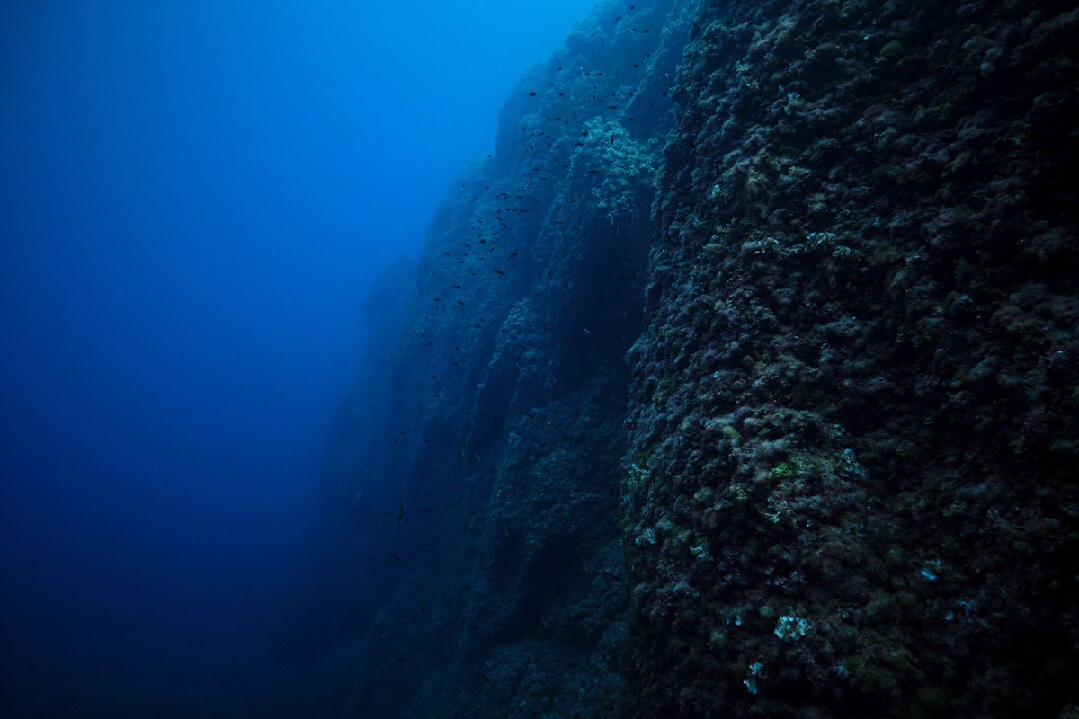 abacusbrands's tweet photo. The Mid-Atlantic Ridge it’s more than 10,000 miles (16,000 km) long, 600 miles (1,000 km) wide, and it rises almost 2 miles (3 km) above the ocean floor in some places. Learn more about the ocean in Virtual Reality Oceans! 🌊 🚢🪸🦀 https://t.co/rikWy7yn1a