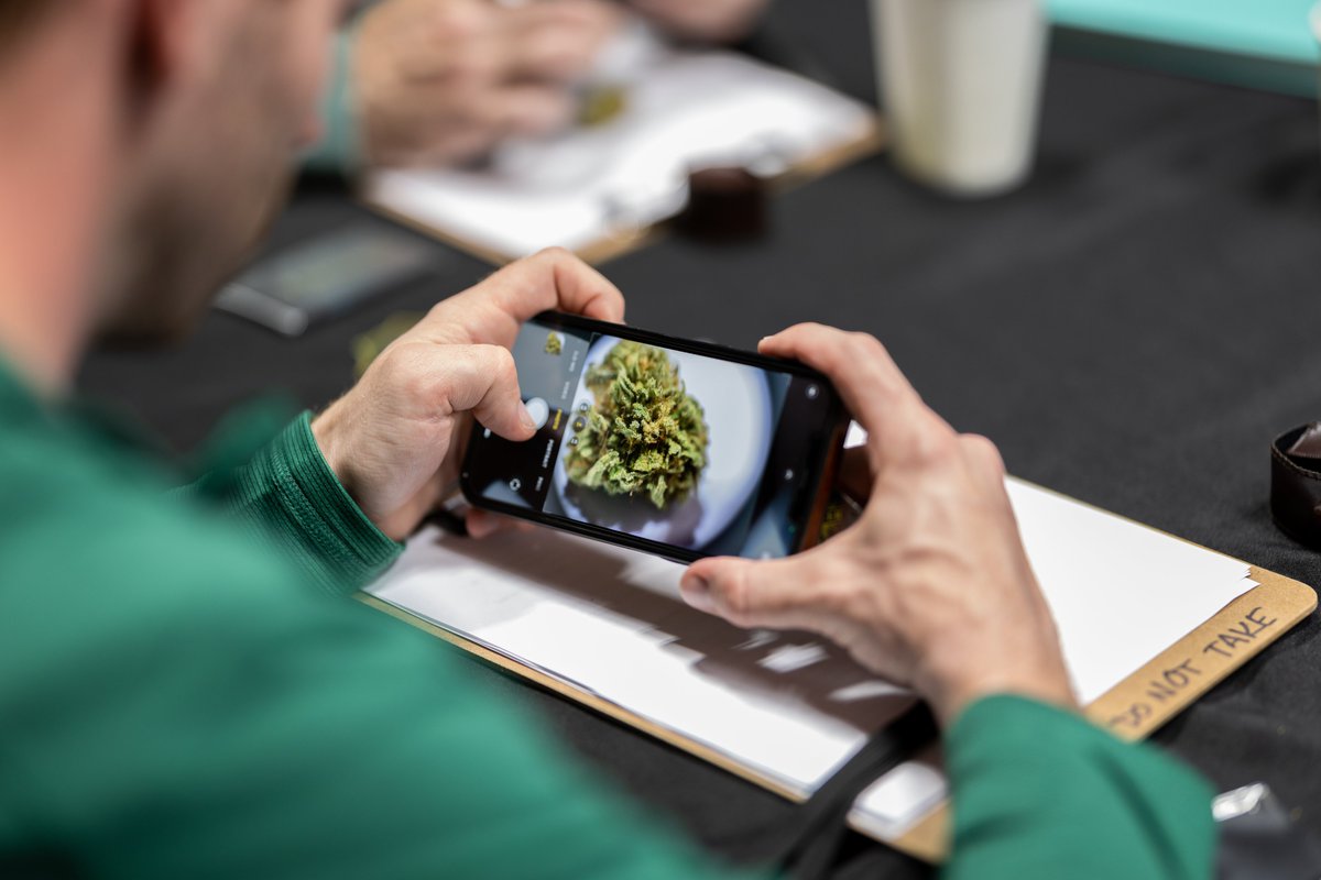 Happening Now: Expert-led, in-person #cannabis assessment & service training at our #Humboldt highlands Ganjier campus.
#ganjier #cannabiseducation #cannabissommelier #cannabistraining