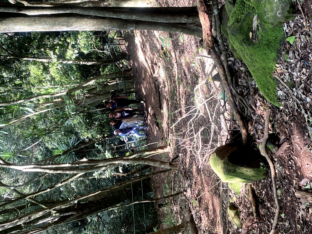 mukesa_mmu's tweet photo. 🌳 MUKESA's Successful Hangout at Karura Forest! 🌳

Last weekend, MUKESA organized a fantastic hangout at Karura Forest in Kenya. Students enjoyed nature, activities, and making new connections. Check out our photos! #MUKESA #KaruraForest #Hangout

📷🌲🎉 https://t.co/fan1ne6757