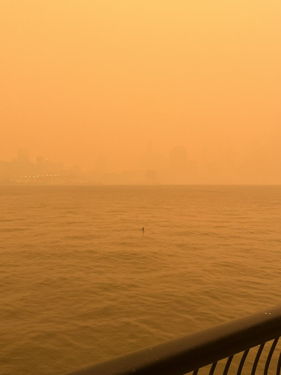 _lndsy__'s tweet photo. New York City has NOT chosen their new pope 🙏😔 https://t.co/eiTipc17z0
