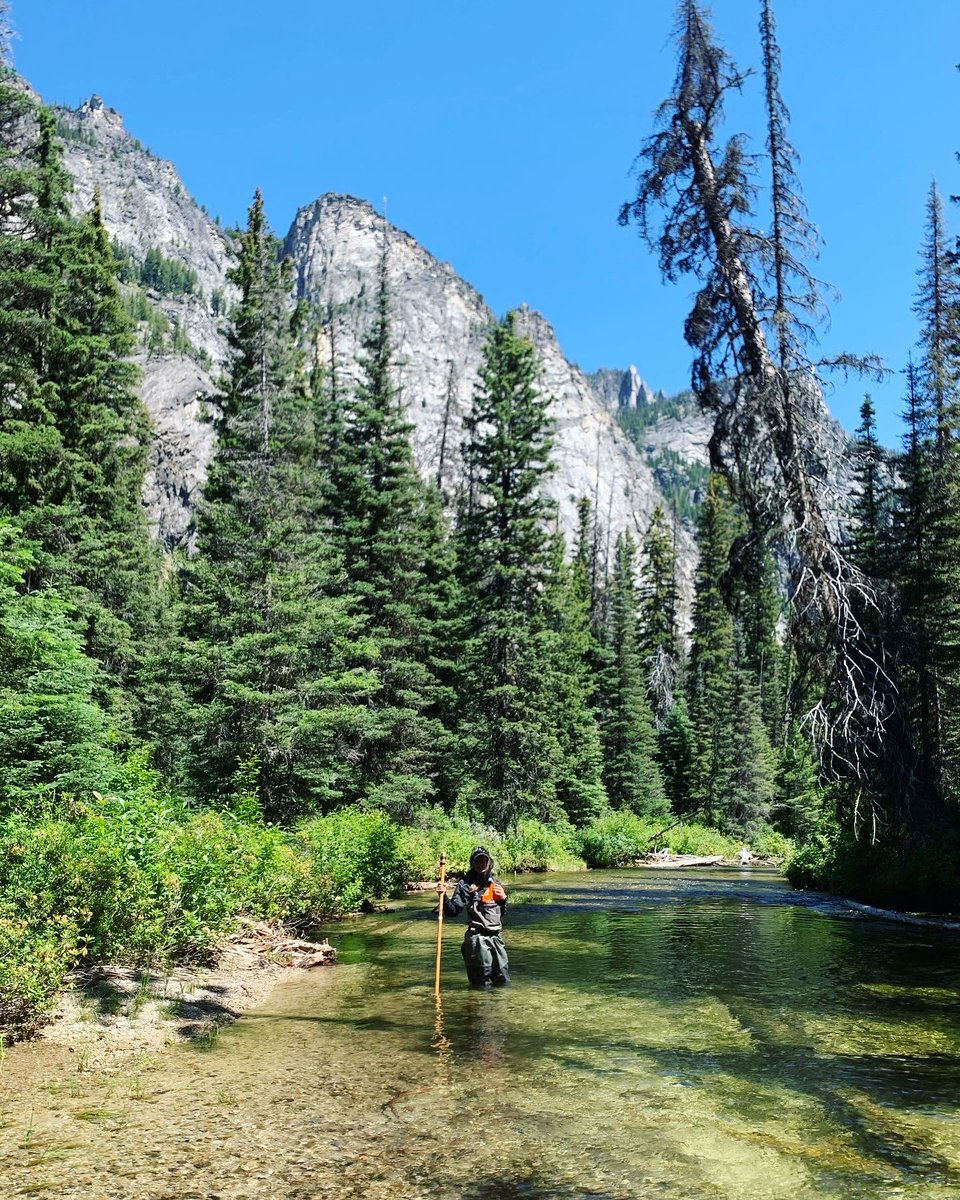 speirsquad's tweet image. #WhyWaterWednesday Alana grew up in FL, where she learned how to swim, fish, &amp;amp; wakeboard on the St. Lucie River, which now experiences toxic #algalblooms. Watching this ecosystem destruction motivated her to do #appliedresearch to protect waterways across the USA. @AginArk