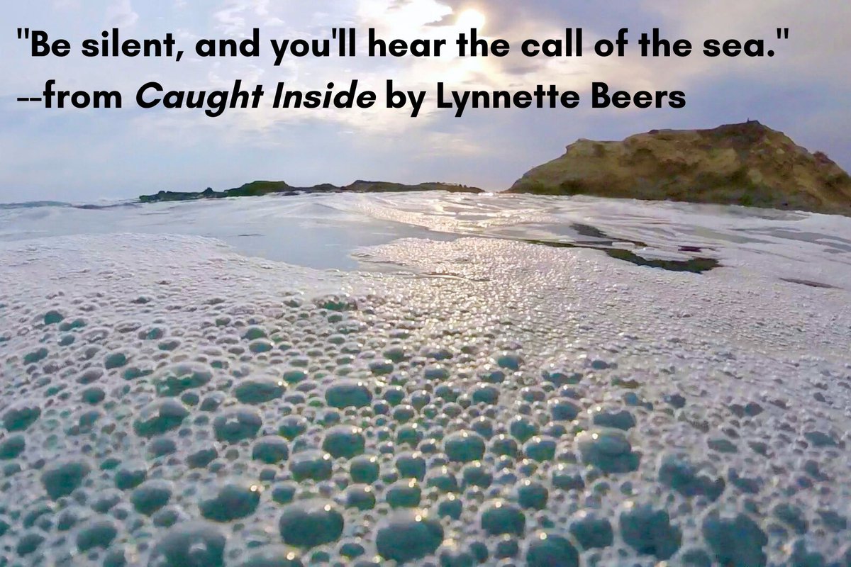 Lynnette Beers tweet media