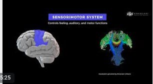 Tom Plender tweet media