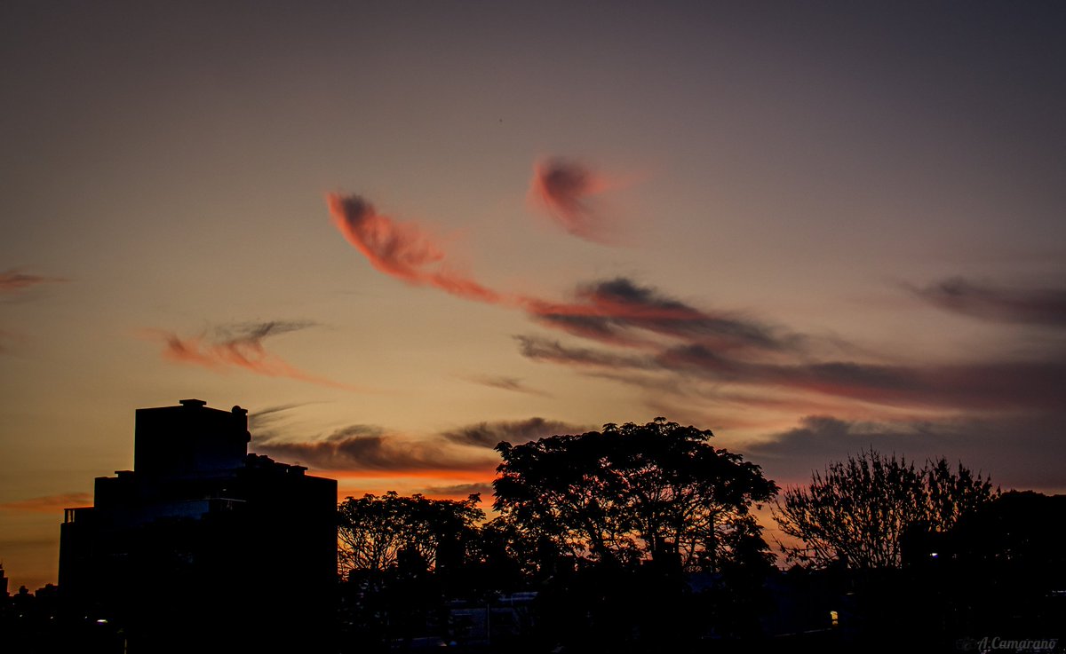 Atardecer desde el Barrio Buceo.
#Montevideo