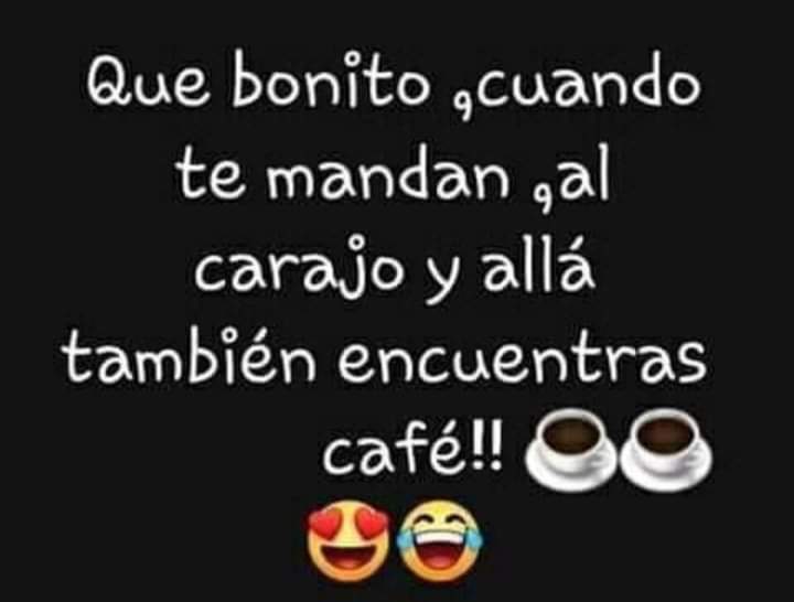 sii.☕☕