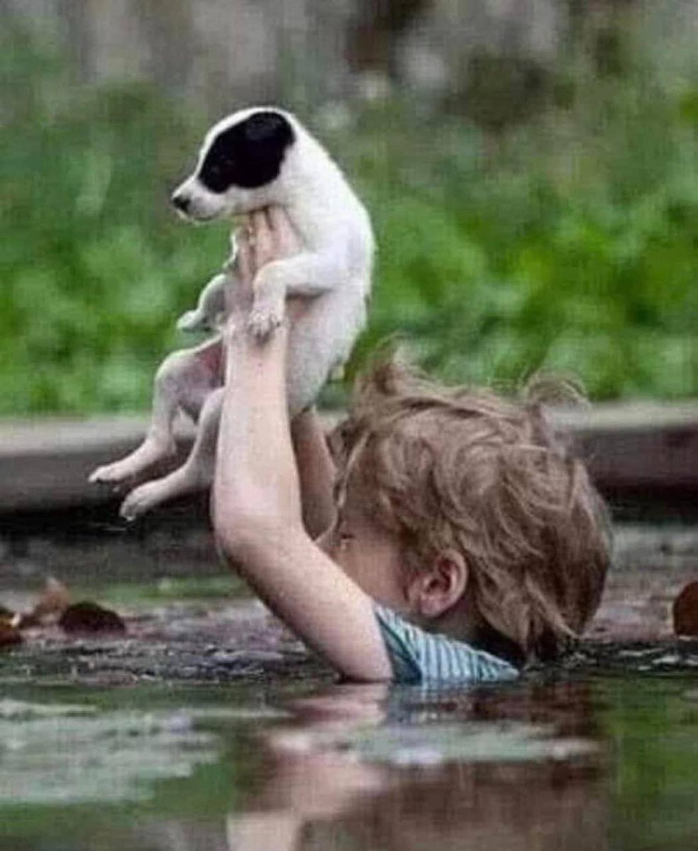 isotrua's tweet photo. Zalimin mazluma yaptığı zulmün kareleri😢 #KatilPutin #ZalimRusya https://t.co/5nJk8L19S2