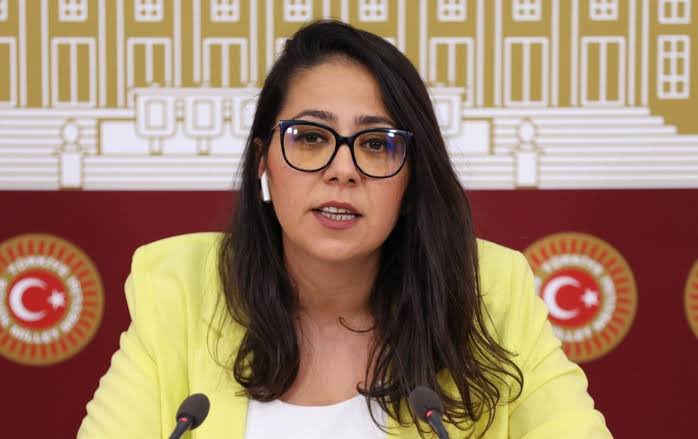 senin milletvekili olduğun ülkede biz bir baltaya sap olamıyorsak o da bizim ayıbımız
