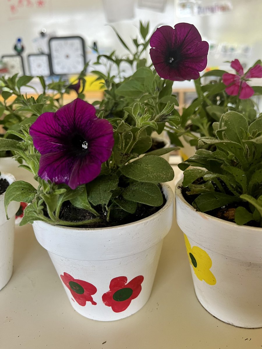 MissMaslak's tweet photo. PLP potted some new Spring flowers! These went home today in our fingerprint flower pots! https://t.co/OtQ7pwBF4t